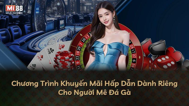 Chương Trình Khuyến Mãi Hấp Dẫn Dành Riêng Cho Người Mê Đá Gà