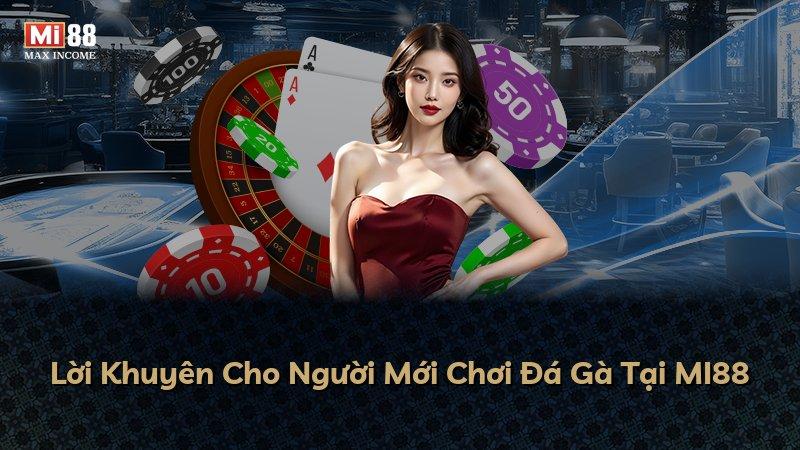 Lời Khuyên Cho Người Mới Chơi Đá Gà Tại MI88